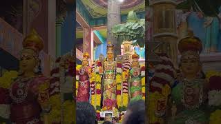 parama elai murugan seyal video [upl. by Aranaj]