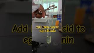 Xanthoproteic TestEgg Albumin  Nitric Acid amp heat 12th chemistryscience [upl. by Atiram]