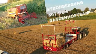 Strohbergung mit dem Bauernhofteam  Sommerweizen dreschen [upl. by Daenis]