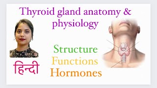 Thyroid gland anatomy amp physiology in Hindi ॥ functions ॥ structure ॥ hormones ॥parathyroid gland [upl. by Mona]