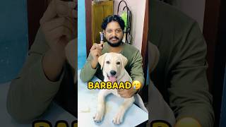 Pogo Makeup Kit Kha Gya😂😂 shorts vlog minivlog puppy labrador [upl. by Nathanson]