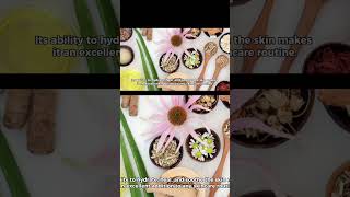 Allantoin skin benefits and uses in skincare [upl. by Abbub454]