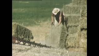 Step Back in Time  Ariah Park Historical Rare Footage 20th Century Farming amp local town family life [upl. by Tfat]