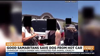 Chandler police arrest dog owner after pet saved from hot car [upl. by Ylnevaeh6]