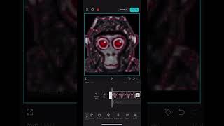Pbbv sound effect reversed gorillatag fyp shorts [upl. by Foy261]