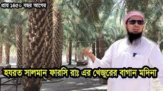 প্রায় ১৪৫০ বছর আগের হযরত সালমান ফারসি রাঃ এর খেজুরের বাগান মদিনা ইলিয়াছুর রহমান জিহাদী [upl. by Pussej]