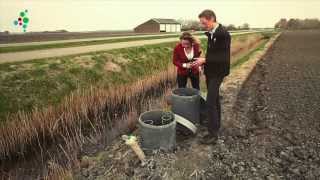 Kennis voor Klimaat TV De Waterbuffer [upl. by Dajma]