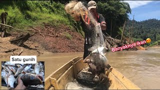 Hanya Beberapa Tibaran Jala Dapat Ikan Sebanyak Ini😍…Trip Setengah Hari Menjala ke Hilir Sungai [upl. by Eded]