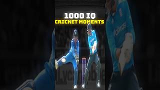 1000 IQ Moments in Cricket [upl. by Dulcle841]