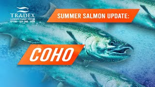 3MMI  2024 Summer Salmon Update COHO SALMON [upl. by Ynamreg]