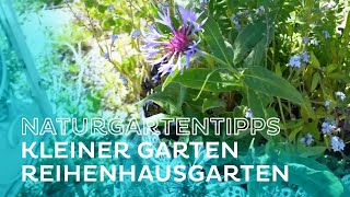 Naturgartentipps für kleine Gärten von Markus Burkhart  Salzburg AG TV [upl. by Robyn]