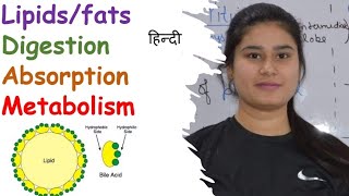 Fats  Lipids  Digestion  Absorption  Metabolism  Ketogenesis  Lipolysis  Chylomicron [upl. by Marjana]