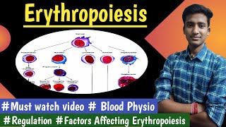 Erythropoiesis Blood PhysiologyLectures  in hindi Ashish Agrawal [upl. by Atterol]