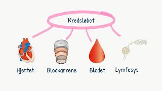 Kredsløbet Introduktion til kredsløbet [upl. by Letsyrc]