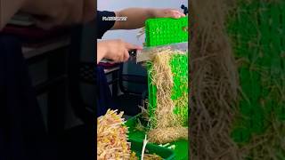 Harvesting Mushrooms Made Easy Innovative Techniques Unveiled [upl. by Marianna]