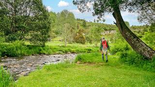 Fly Fishing Advice for Beginners I wish I learnt earlier [upl. by Julita]