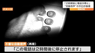 「この電話は２時間後に停止されます」自動音声使った特殊詐欺が急増 警察「詐欺の手口は日々巧妙化」 [upl. by Nosiaj]