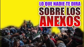 La verdad sobre los Anexos [upl. by Ydolem]