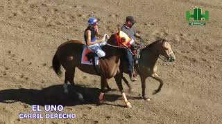 Carreras de Caballos del dia 22 de Septiembre del año 2024 en el Hipodromo de Hermosillo [upl. by Kernan715]