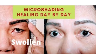 HEALING PROCESS OF EYEBROWS MICROSHADINGSWELLINGDAY BY DAY FOR 14 DAYS [upl. by Akisey]