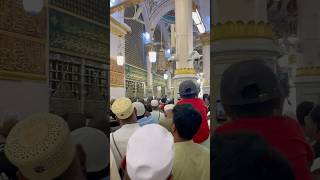 Roza e Rasool Salam  masjidenabwi saudiarabia madinah viralshorts islamicholysite vlog [upl. by Gabey]