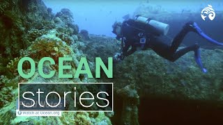 A year of oceanorg  Ocean Stories [upl. by Assenal]