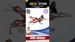 Arm Leg Lift Plank workoutkegelworkout stretching trending viralvideo [upl. by Nylkaj785]