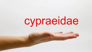 How to Pronounce cypraeidae  American English [upl. by Eadrahc854]