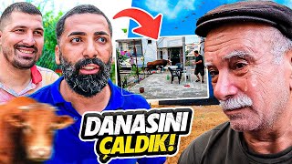 BABAMIN KURBANLIK DANASINI ÇALDIK [upl. by Seve]