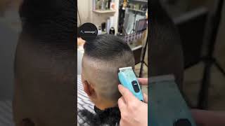 barbershop shavelife animalphotos usa barber letsshave animalpictures cute haircut shaving [upl. by Malliw]