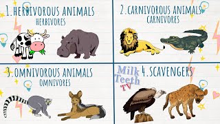 Types of Animals  Herbivores Carnivores Omnivores and Scavengers  Eating habits of Animals [upl. by Esilana]