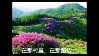 《卖花姑娘》终曲 [upl. by Novonod]