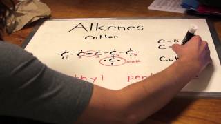 Alkanes Alkenes Alkynes of Fun [upl. by Kcirtap]