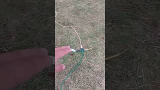 Putting up the Christmas lights 2022 shorts Vlog 2  Setting up Extension Cord lines [upl. by Dirgis]