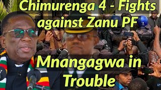 🟨Chimurenga 4  Fights against Mnangagwa and Zanu PF 🇿🇼 [upl. by Okihsoy]