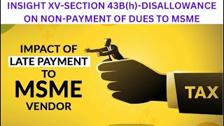 SECTION 43Bh DISSALLOWANCE ON NON PAYMENT OF DUES TO MSME [upl. by Notsnhoj189]