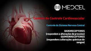 Anatomia e Fisiologia Cardiaca basica Resumo [upl. by Qulllon]