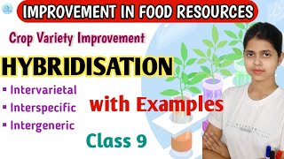 Improvement in Food Resources class 9  Crop Variety Improvement  Hybridisation in plants  NCERT [upl. by Desta]