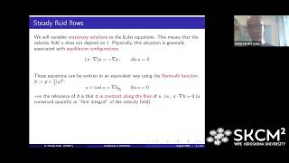 Dr Daniel PeraltaSalas ICMAT Steady incompressible fluid flows a zoo of complexity [upl. by Nylak]