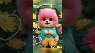 babamanehajarbikal 🥰🤲islamicsong cat youtube shortvideo [upl. by Eggleston]