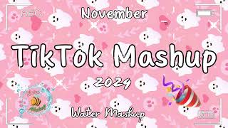 TikTok Mashup November 2024 💦not clean💦 [upl. by Sachs]