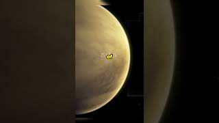 Venus’ Cloud Life Are Microbes Hiding in Venus Acidic Clouds 🌌🚀 astromoments space [upl. by Vergos]