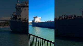 Bow Thruster Action On The Manitoulin ship shipping [upl. by Arjun]