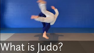 Video Request  Judo RulesGoalsTechniques Explained for Beginners [upl. by Caril862]