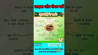 🪵 जटामांसी के फायदे🪵 shorts jatamansi ayurveda harbs jadibuti healthtips viral reels trand [upl. by Ellehs375]