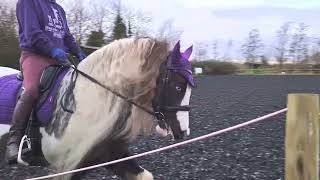 Dressage Addict Elementary 42 cobs can [upl. by Zenia]