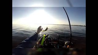 Oneida Lake Kayak Perch Fishing 101824 fishing Perch kayakfishing [upl. by Arracat]