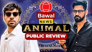 ANIMAL Public Review  Bawaal News [upl. by Pentheam]