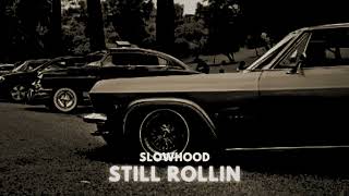 Still Rollin  Shubh Slowed Reverb [upl. by Haisej]