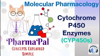 CYP450 Enzymes Explained The Key to Metabolism amp Drug Processingquot 📚🎥🔬 [upl. by Aneryc872]